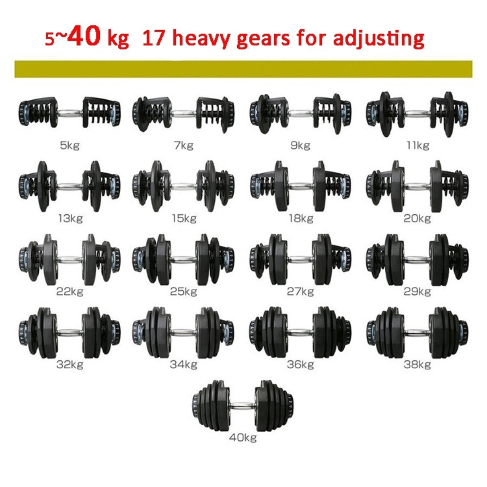 Set Dumbbell Adjustable Gym Ko - Adjustable Dumbbell Pair 40Kg ulasan dan harga