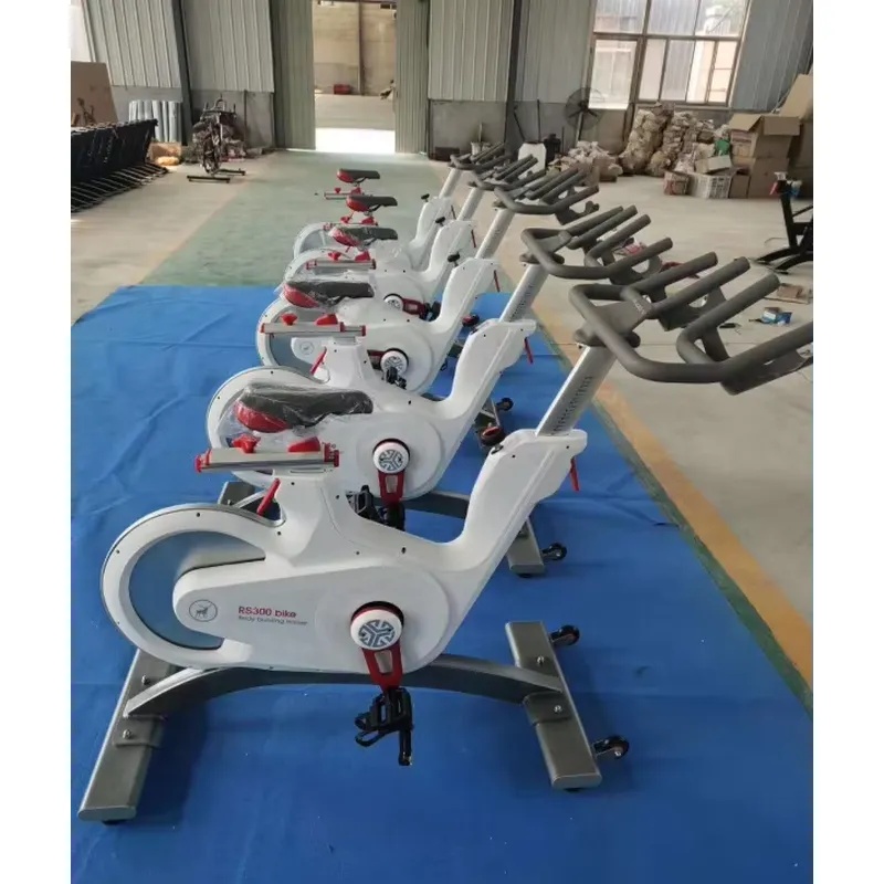 Sepeda Spinning Magnetik Profe - Exercise Bike Magnetic Resistance ulasan dan harga
