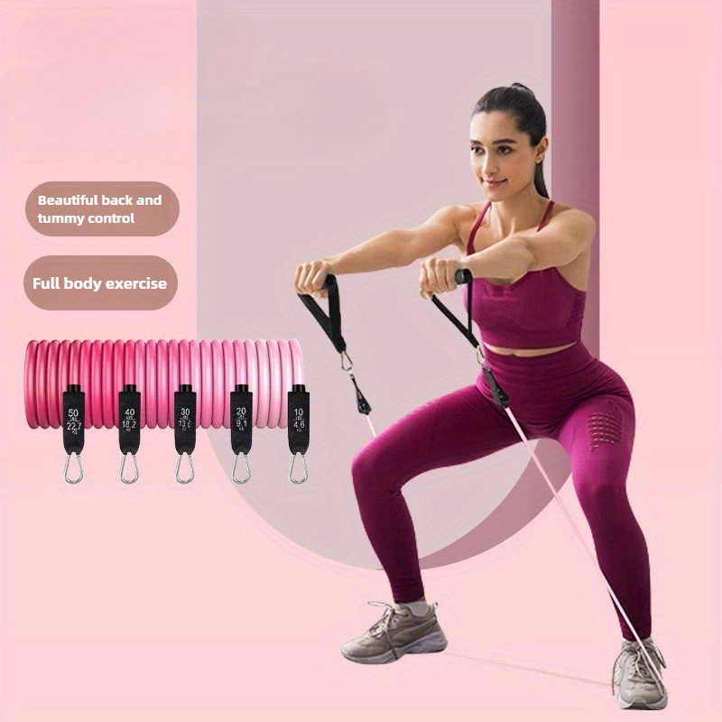 Set 11 Pcs Bar Pilates yang Di - Pilates Bar Kit With Resistance Bands ulasan dan harga